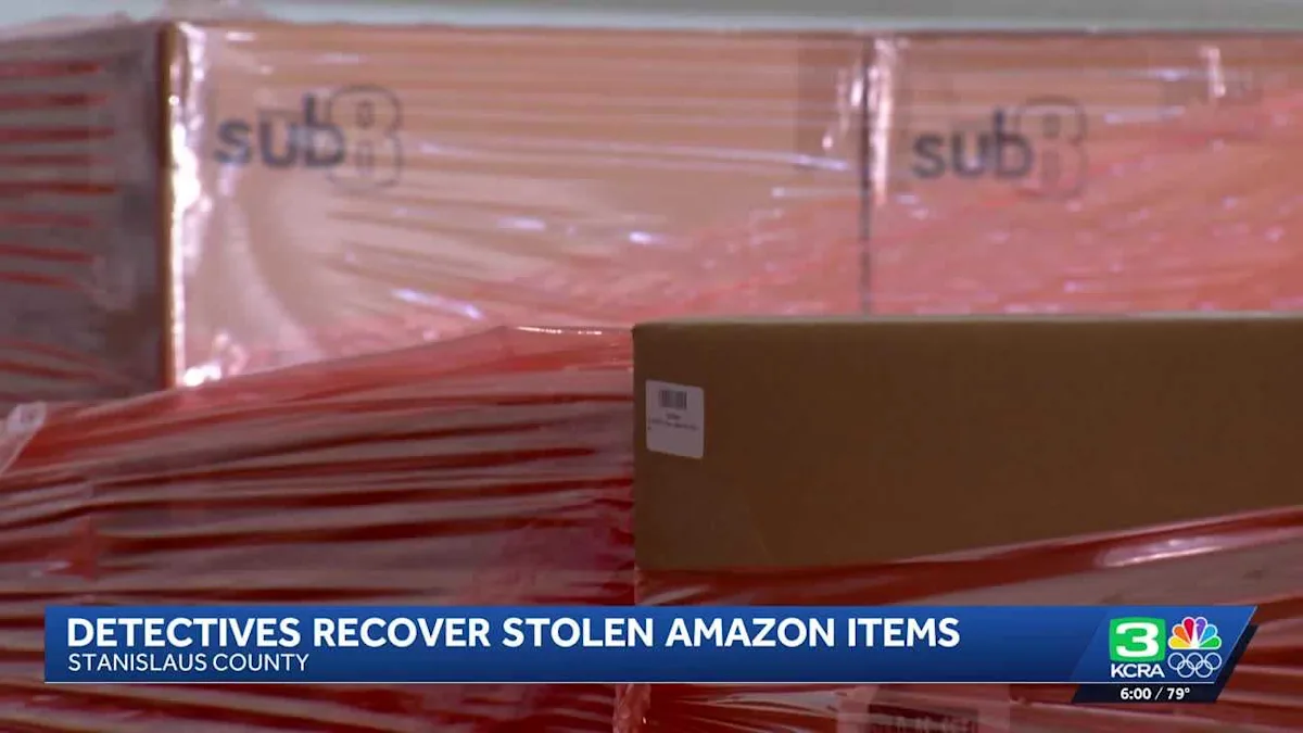 Caught in the Act: Detectives Unravel a $500k Amazon Heist Gone Wrong!