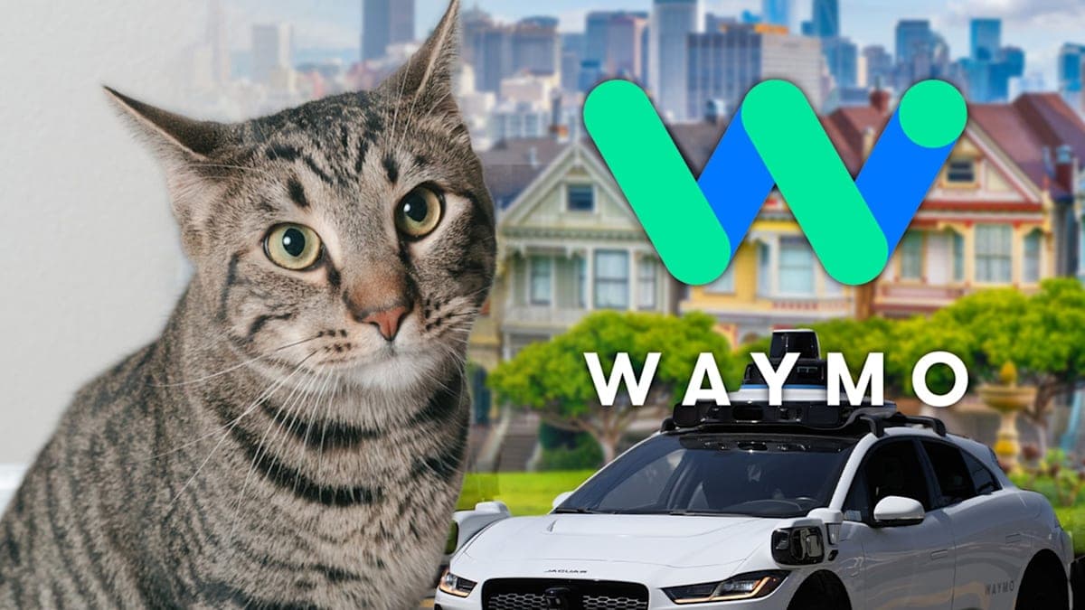When Robots and Cats Collide: A Tragic Tale from San Francisco