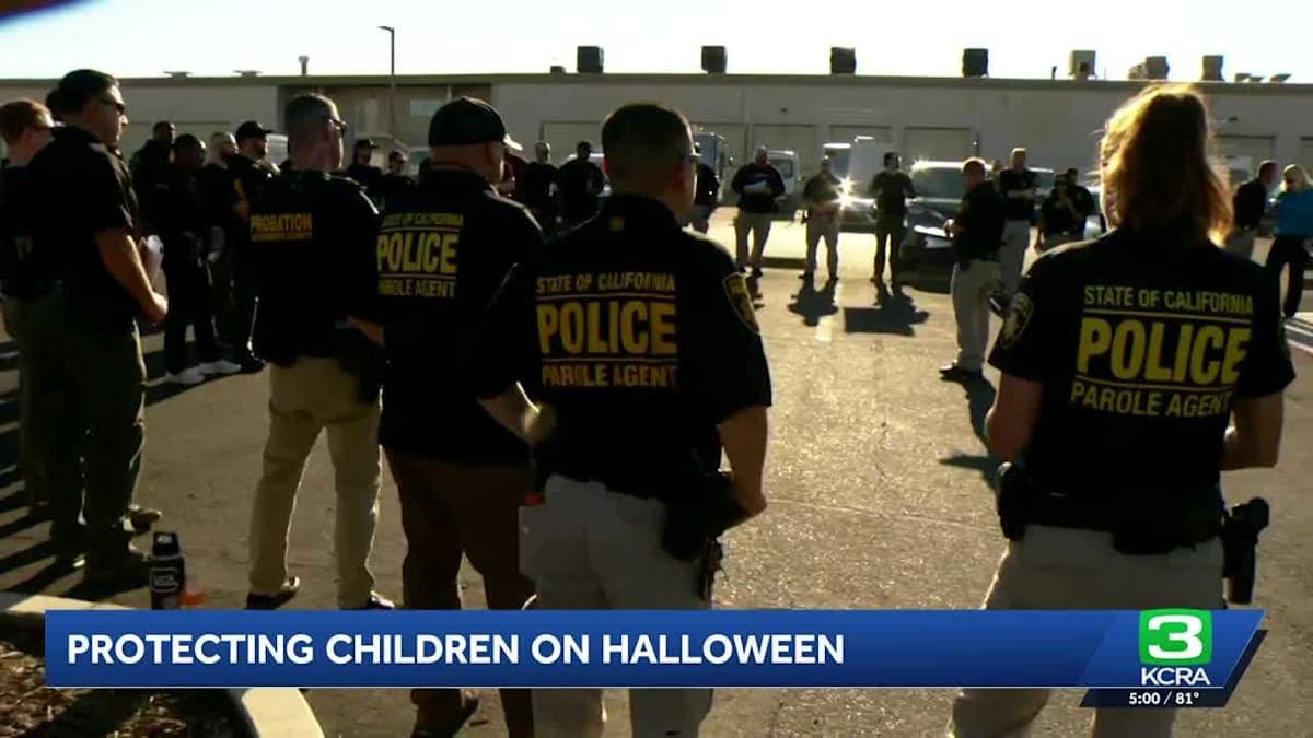Operation Boo: Keeping Halloween Safe from Spoilers and Scary Predators!