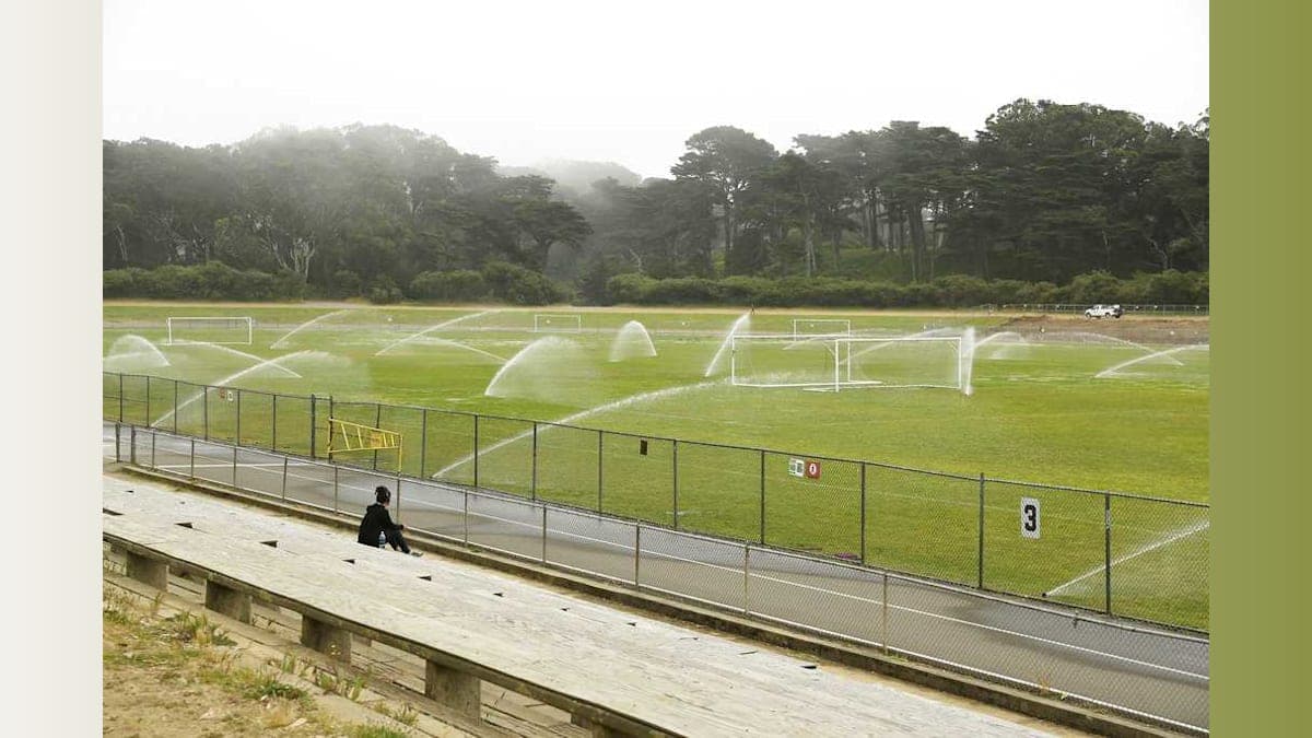 Park Bathroom Horror: A Child's Nightmare Unfolds in Golden Gate