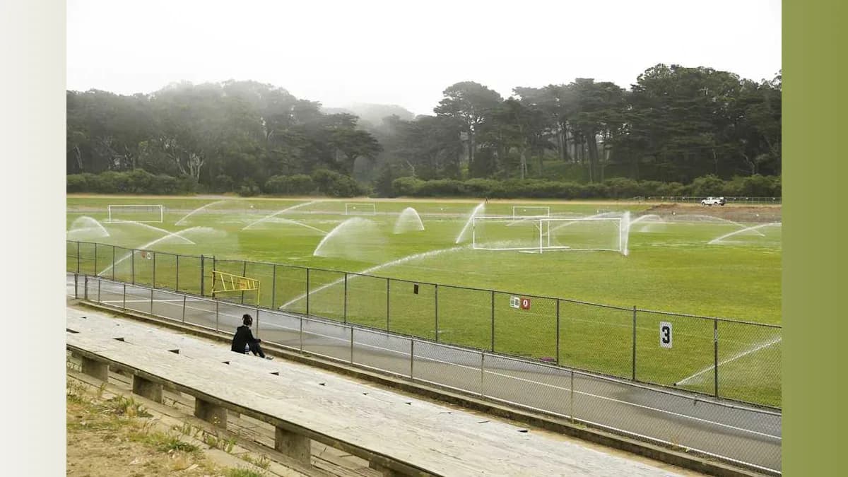 Park Bathroom Horror: A Child's Nightmare Unfolds in Golden Gate
