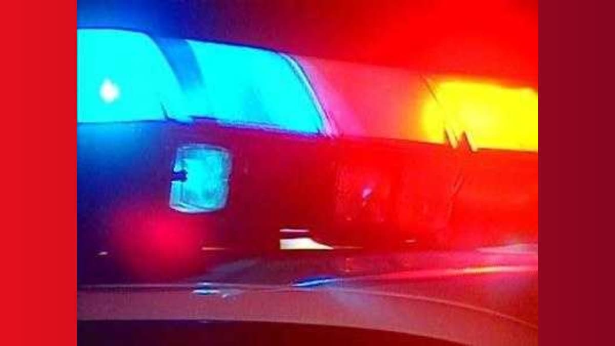 Tragedy Strikes Elk Grove: A Night Out Turns Deadly at Local Korean Restaurant