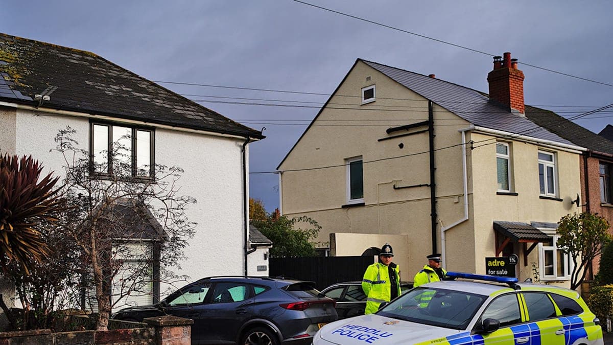 Tragedy Strikes: A Dog Attack in a Welsh Village Leaves Community Heartbroken
