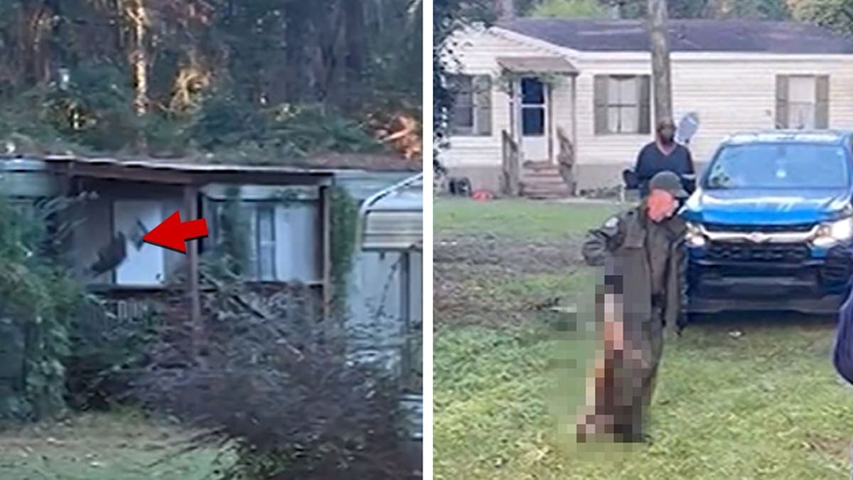 Monkey Business Gone Wrong: Mother Shoots Escaped Monkey in Shocking Backyard Drama
