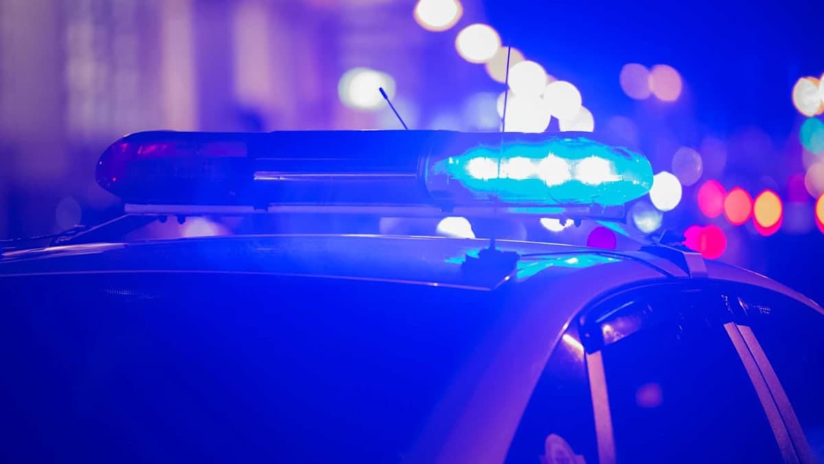 Halloween Turns Deadly: What Happens When the Real Scares Hit Too Close to Home?