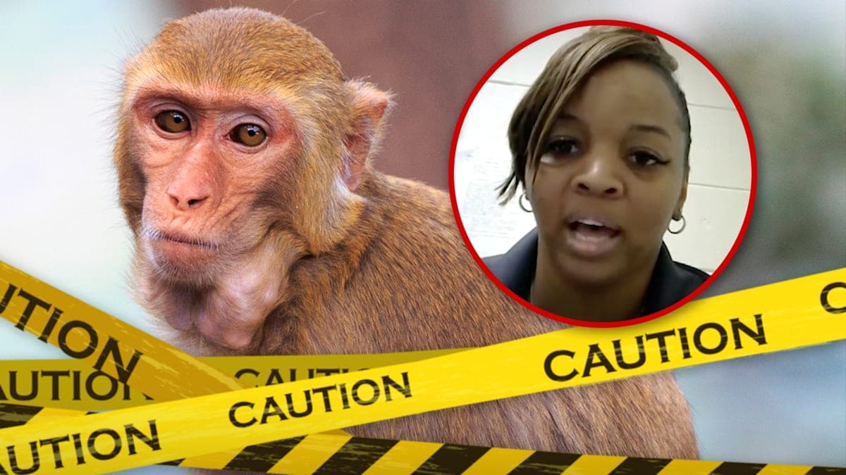 Monkey Business: Mississippi Mom Makes a Wild Decision