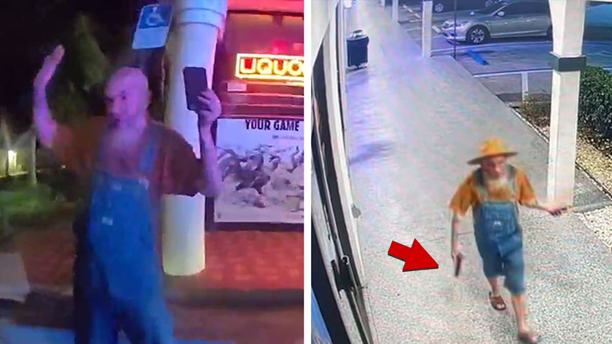 When Chicken Debates Go Bad: Florida Man Pulls Gun Over Egg-Laying Dispute