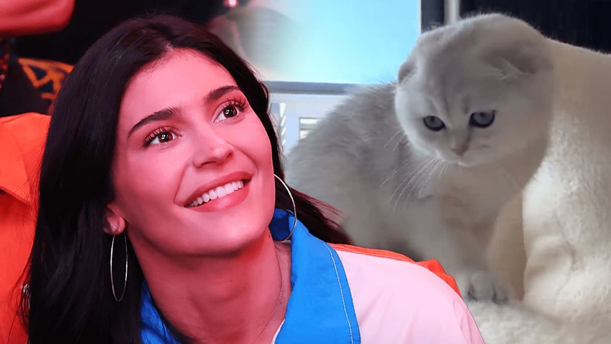 Kylie Jenner Debuts a New Furry Friend and a Bikini Selfie That’s Got Everyone Talking!