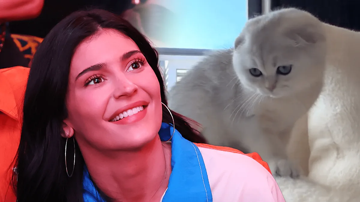 Kylie Jenner Debuts a New Furry Friend and a Bikini Selfie That’s Got Everyone Talking!