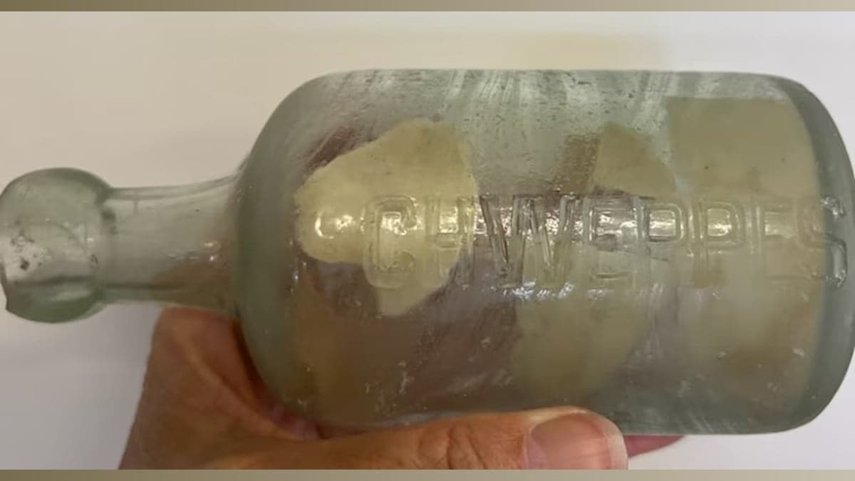 Lost Letters from the Past: A Message in a Bottle Reconnects Generations