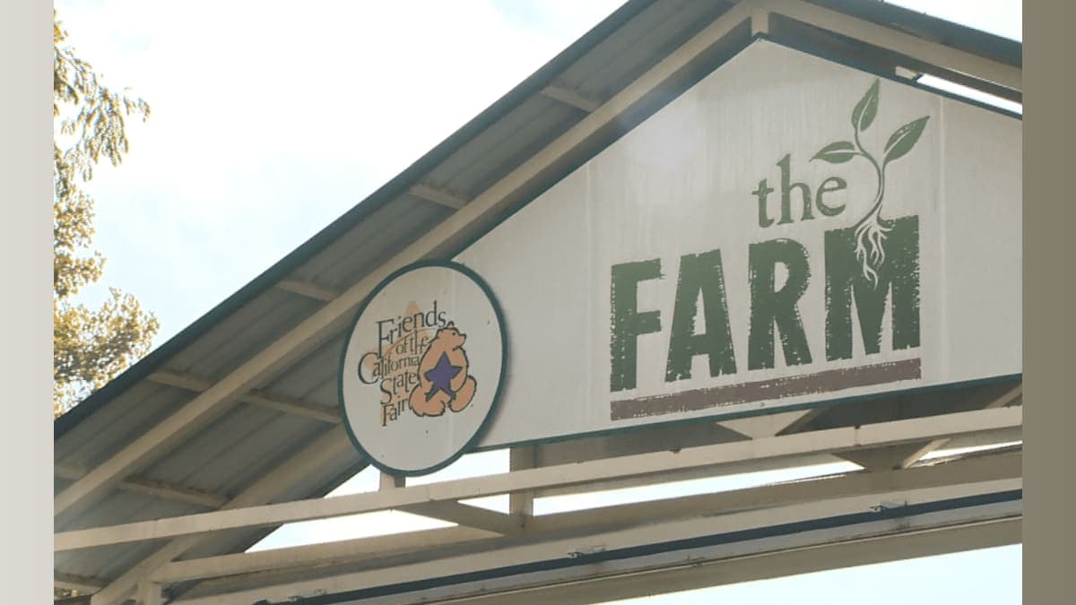 Hidden Gem: How a Secret Farm at Cal Expo is Feeding Sacramento Families