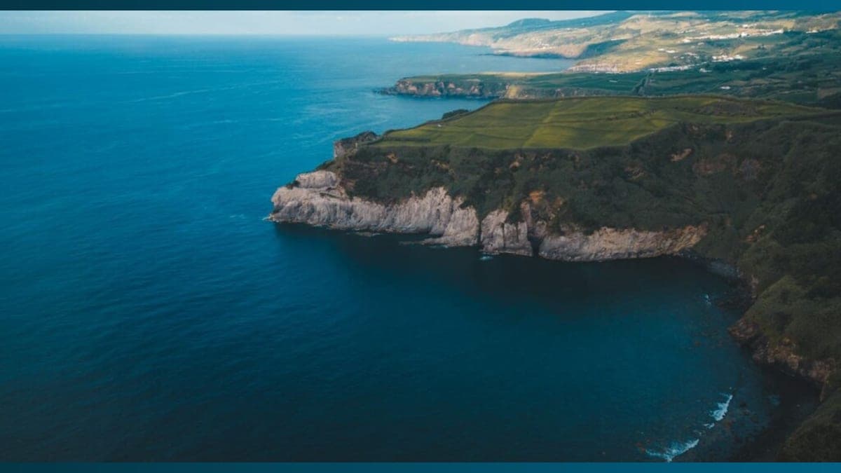 Making Waves: A Sanctuary for Whales in the Atlantic!