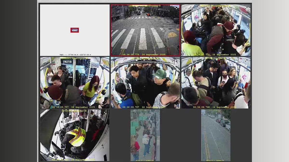 Muni Madness: When a Calm Commute Turns into a Thrilling Ride!