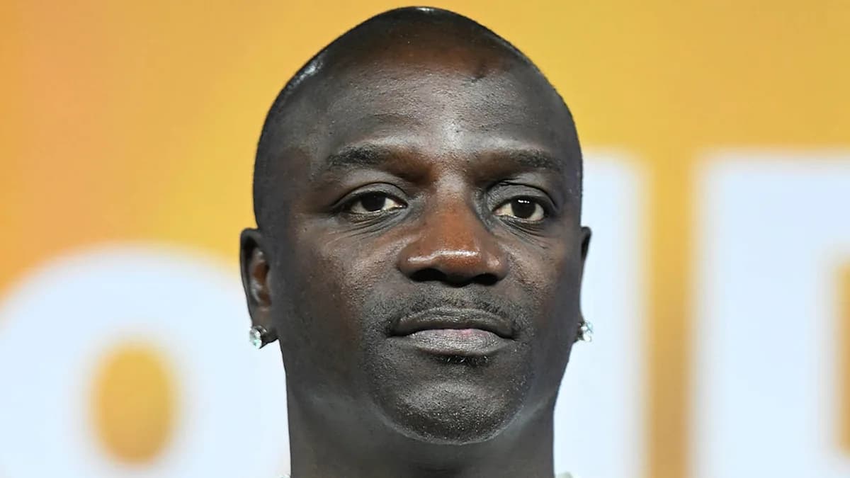 Akon’s Arrest: A Cue for More Than Just a Suspended License