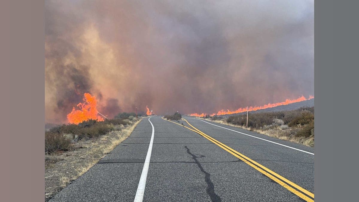 Flames and Evacuations: Inside the Wrath of the Pack Fire in Mono County