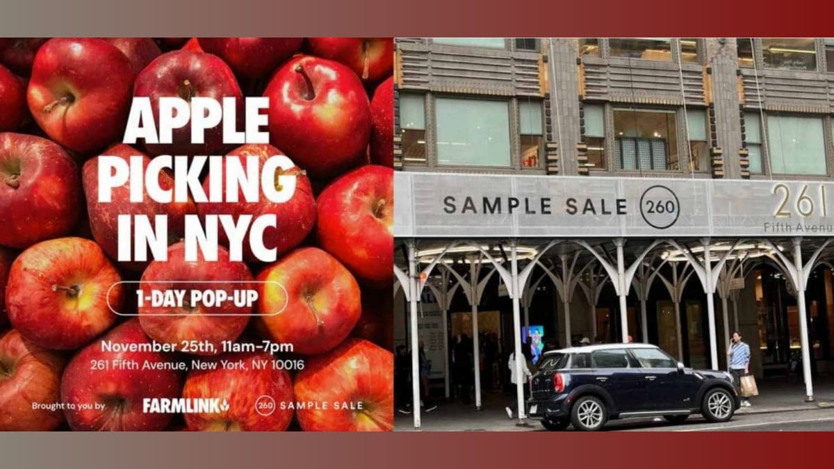 Get Your Apples Here: Midtown’s Pop-Up Orchard Tackles Hunger with Free Fruit!