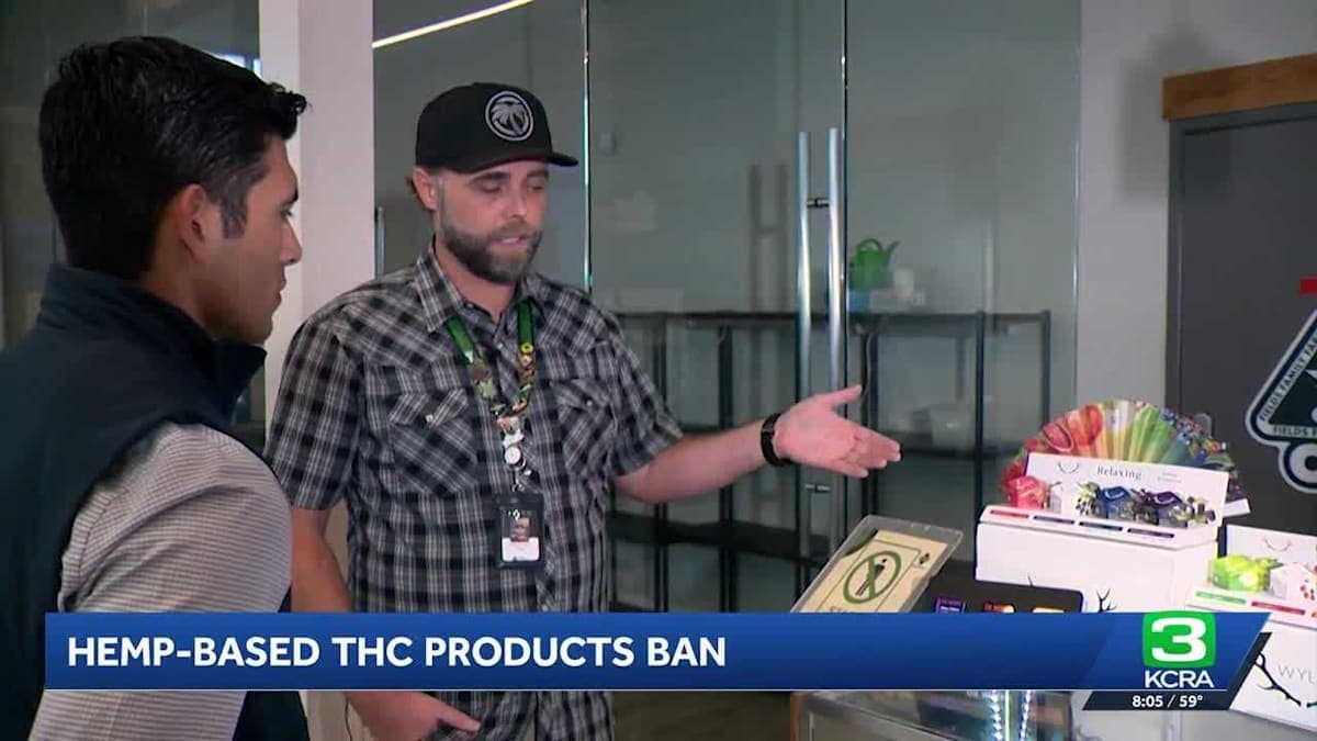 Gummy Bears Under Fire: Is the Hemp Market Facing a Regulatory Tsunami?
