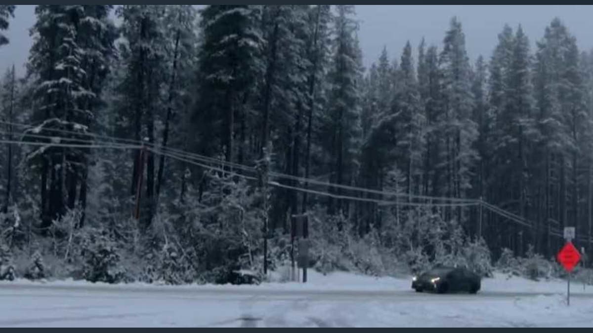 Rain, Snow, and Slow: Northern California's Weather Woes on Monday