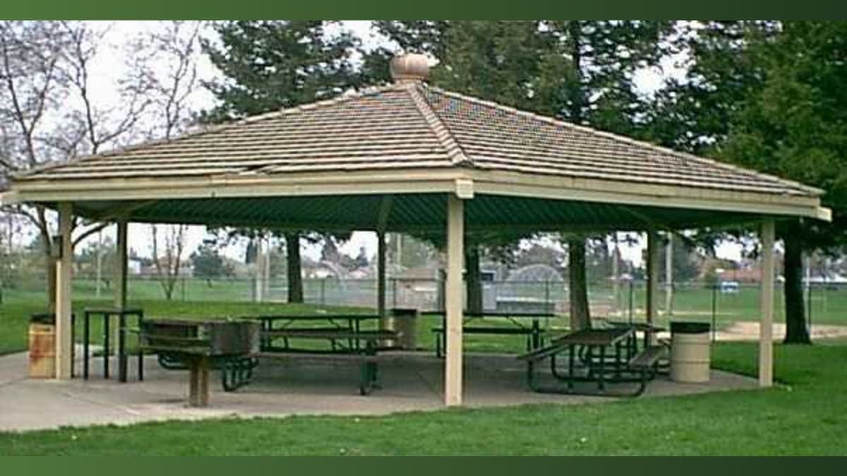 Vandalism Hits Home: Lodi's Salas Park to Get a $110,000 Makeover!