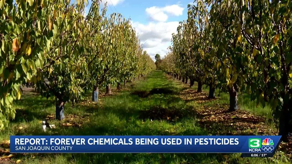 Are Your Pesticides Playing Dirty? Shocking PFAS Findings in San Joaquin County!