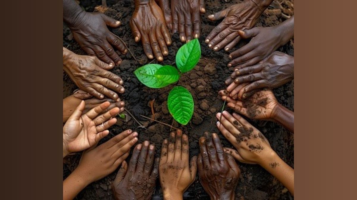Unlocking the Secrets of Living Soil: Why the Ground Beneath Us Matters!