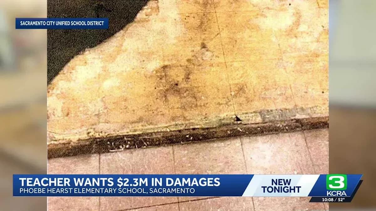 Teacher Takes on School District: Carpet Removal Sparks $2.3 Million Showdown!