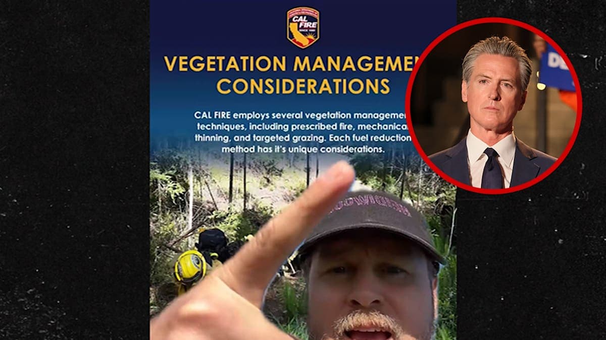 Spencer Pratt Versus Gavin Newsom: A Wildfire Feud Unfolds!