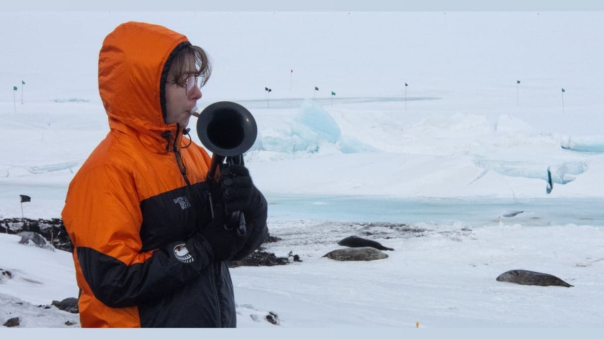 A French Horn in Antarctica: Hitting All the Right Notes in Subzero Harmony!