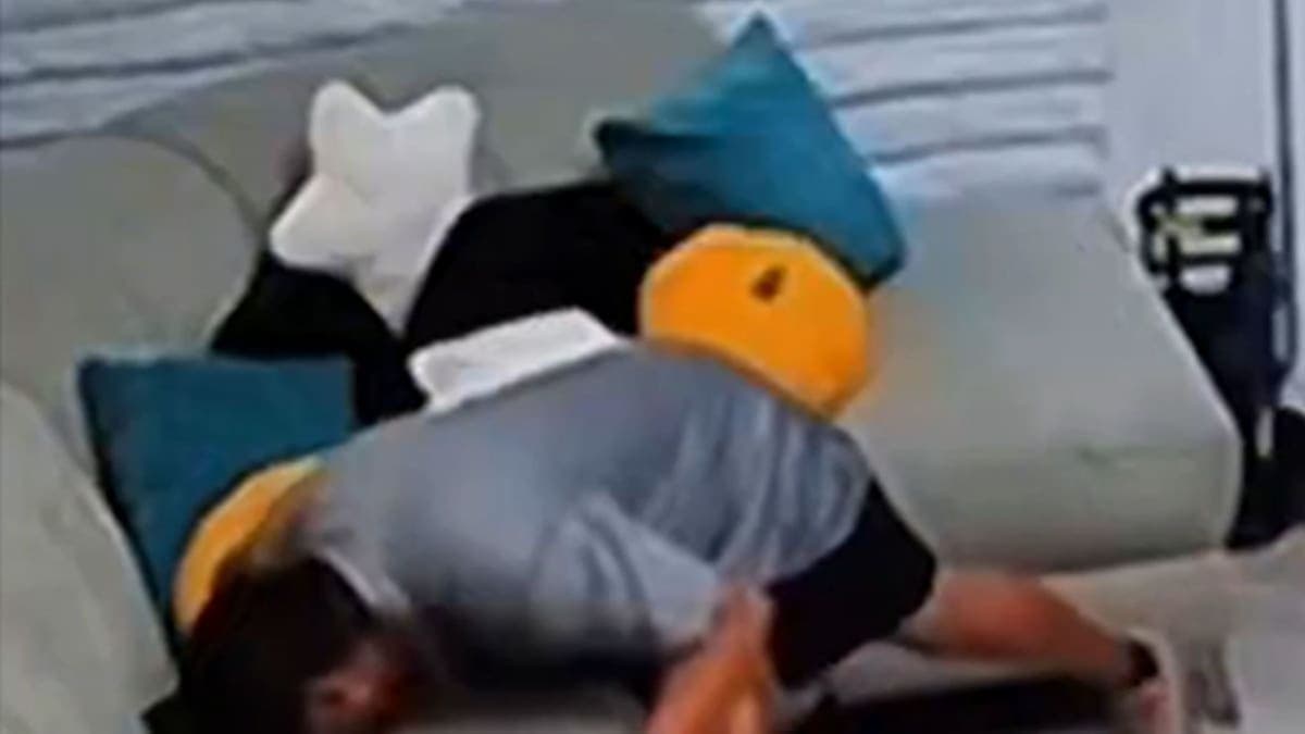 Caught on Camera: The Creep Who Sniffed the Sofa!