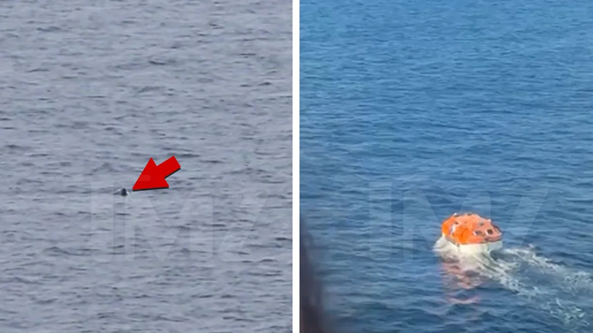 Cruise Gone Wild: Passenger Plunges Overboard in Dramatic Turn of Events