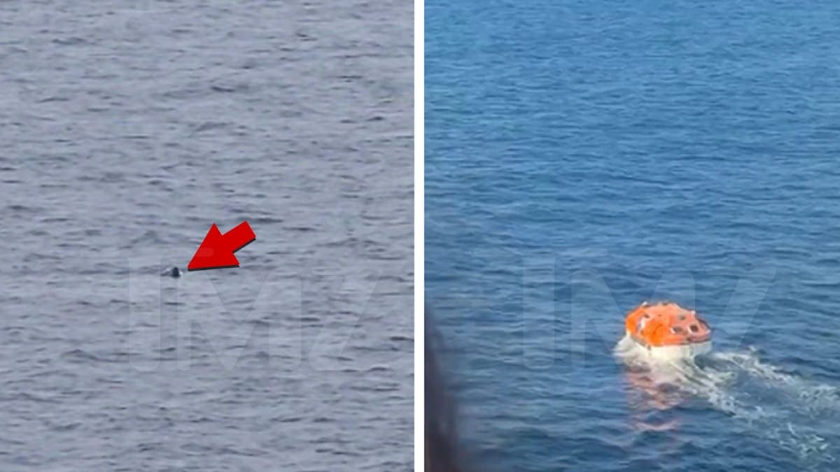 Cruise Gone Wild: Passenger Plunges Overboard in Dramatic Turn of Events