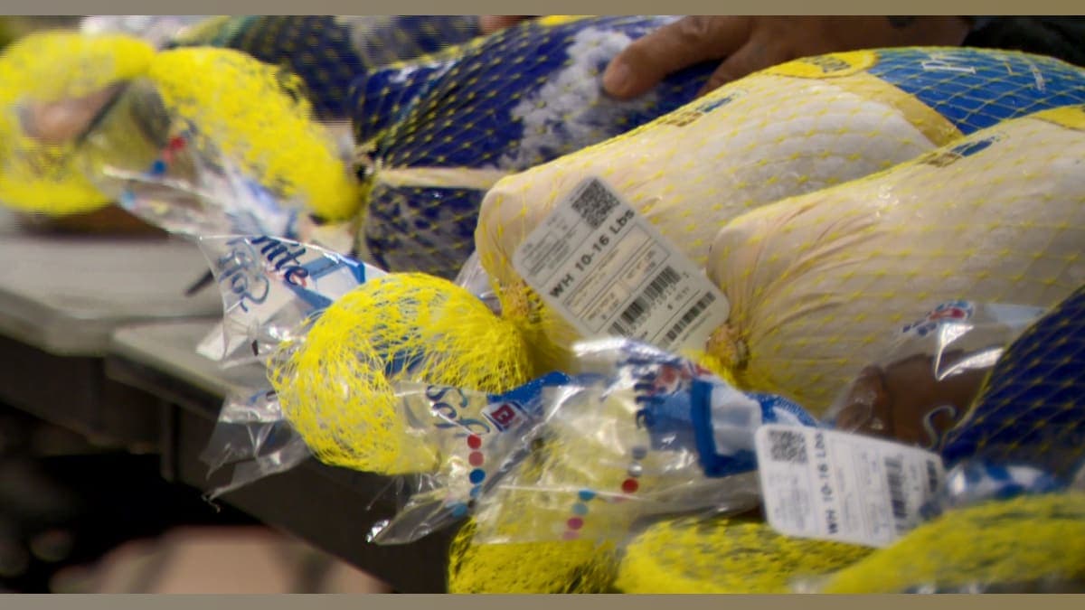 Thanksgiving 2025: Feeding Hope in Northern California with Community Giveaways