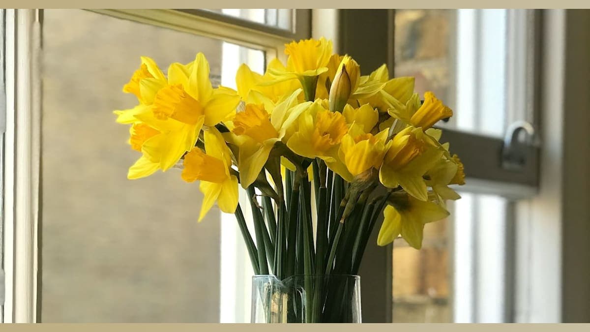 From Bouquets to Blooming Tributes: A Heartfelt Gift Grows into a Community Memorial