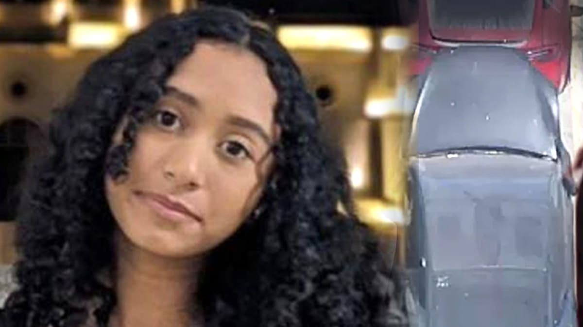 Murder in the Tesla: Shocking Discovery of Dismembered Body Leaves Authorities Reeling