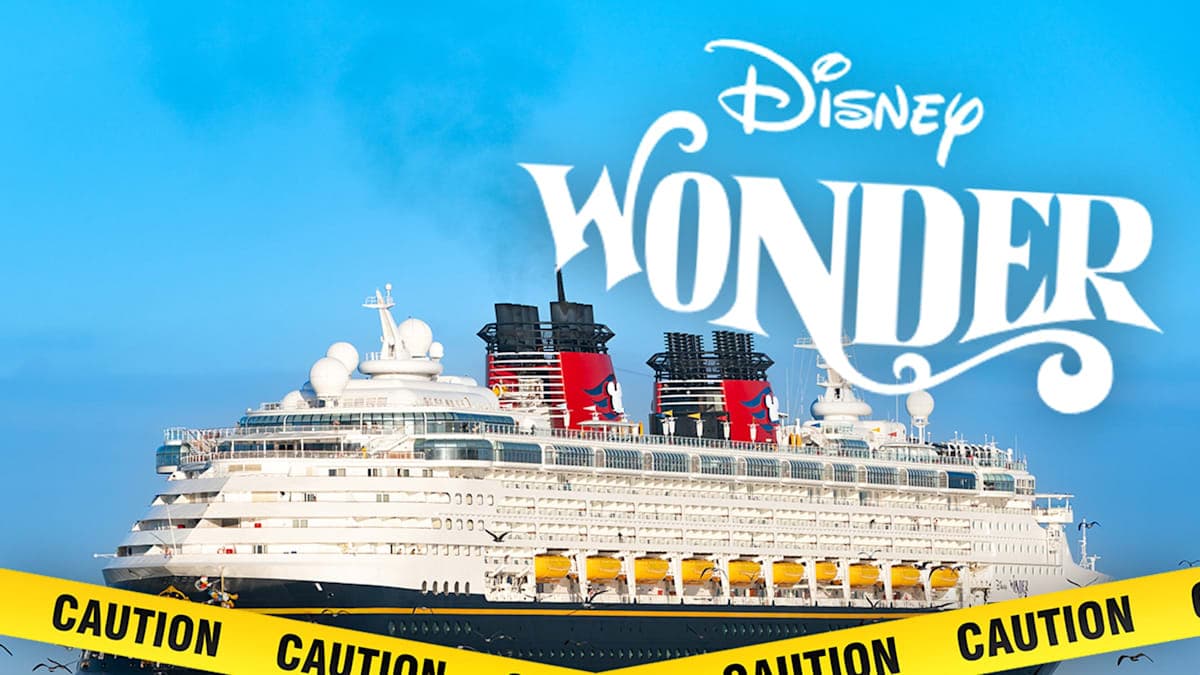 Disappearing Act: A Cruise Passenger's Sudden Plunge into Mystery