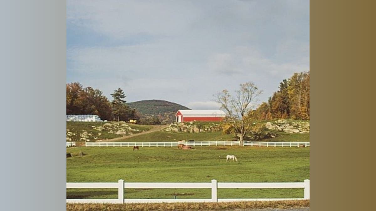 Farming vs. Fortune: Bridging the Urban-Rural Divide One Fellowship at a Time