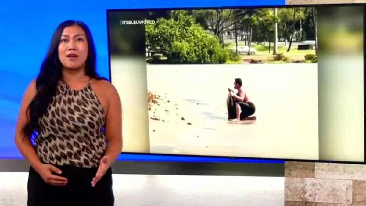 TikTok Turtle Trouble: Outrage After Sea Turtle Harassment in Honolulu