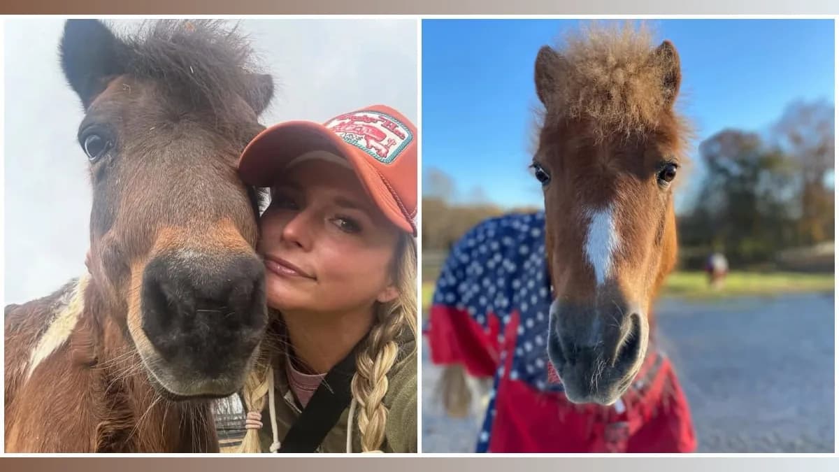 Miranda Lambert's Heartbreak: A Country Star Bids Farewell to Sugar Pie and Adrianna
