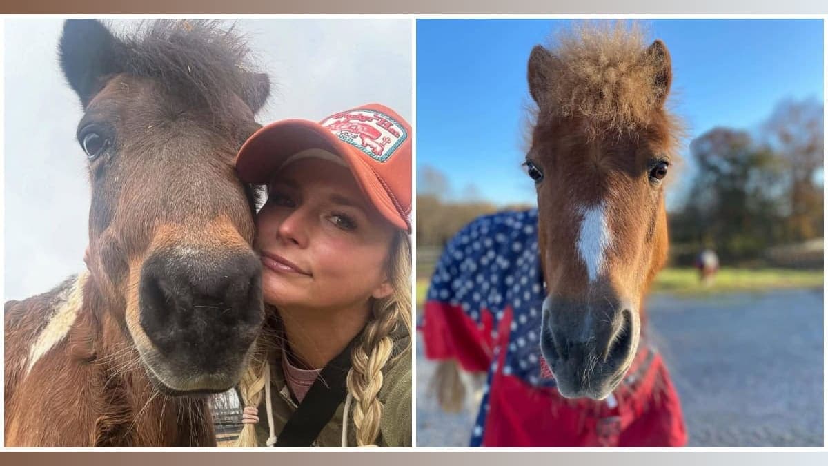 Miranda Lambert's Heartbreak: A Country Star Bids Farewell to Sugar Pie and Adrianna