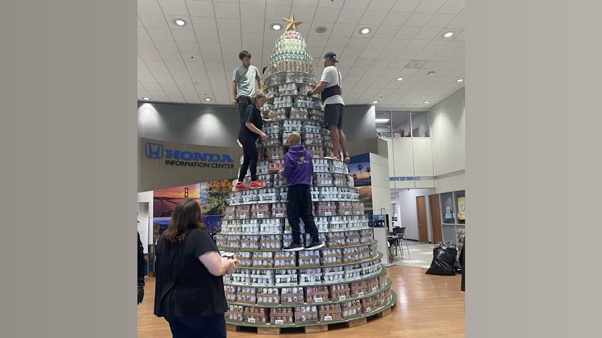 Building Generosity: Sacramento's 25-Foot Christmas CanTree Takes the Holidays to New Heights!