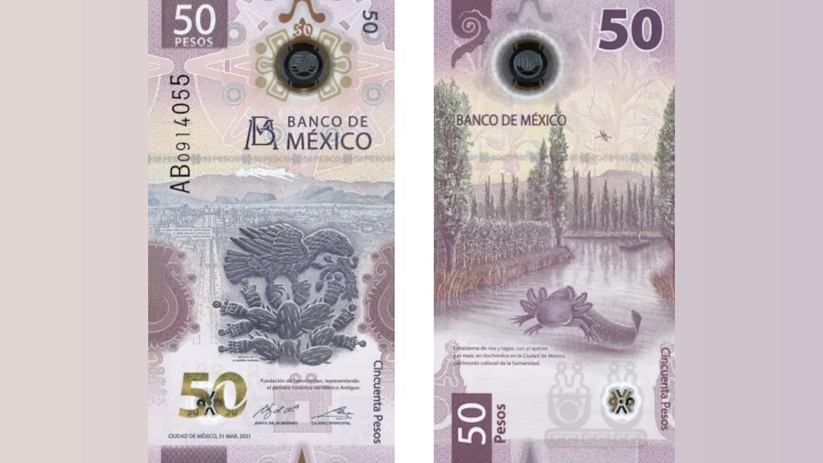 Hoarding Delight: The Adorable Axolotl Takes Over Mexico’s 50 Peso Note!