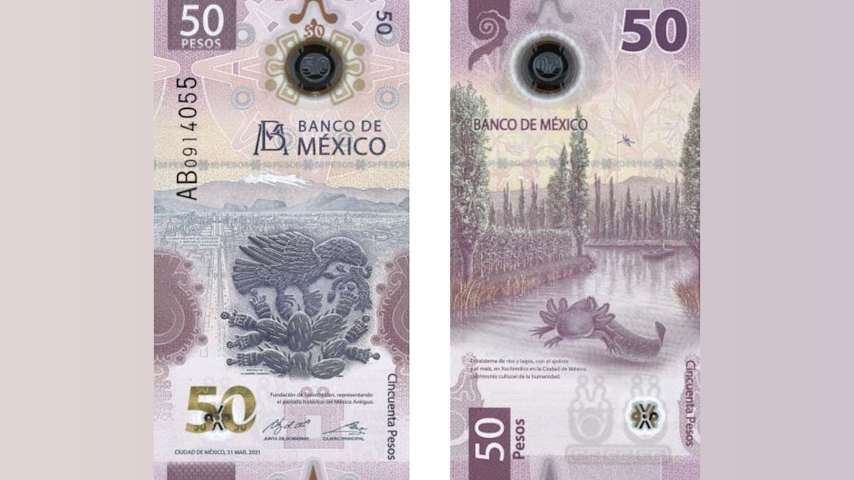 Hoarding Delight: The Adorable Axolotl Takes Over Mexico’s 50 Peso Note!