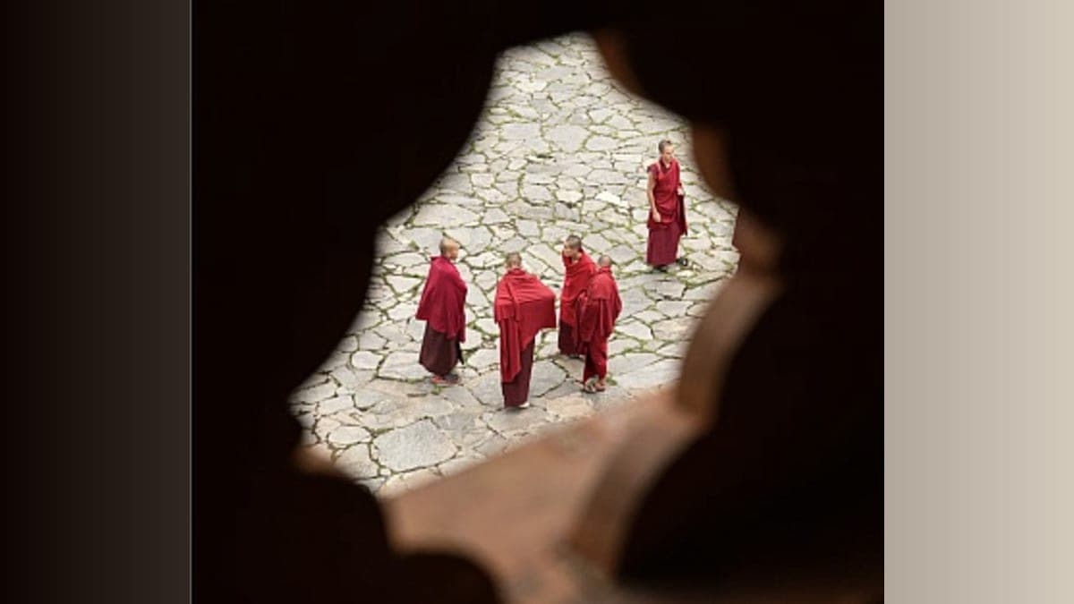 Unlocking Animal Advocacy: The Fifth Monk's Quest to Connect
