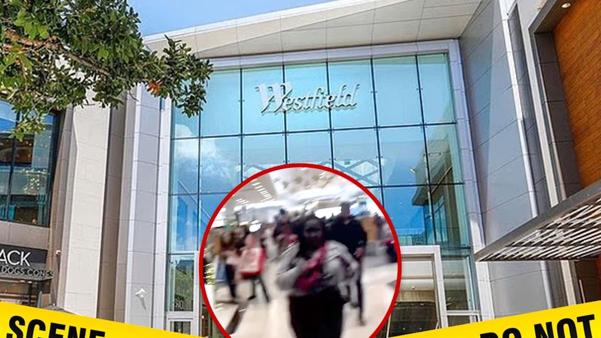Shots Fired: Chaos Erupts Inside California Mall as Shoppers Flee for Safety