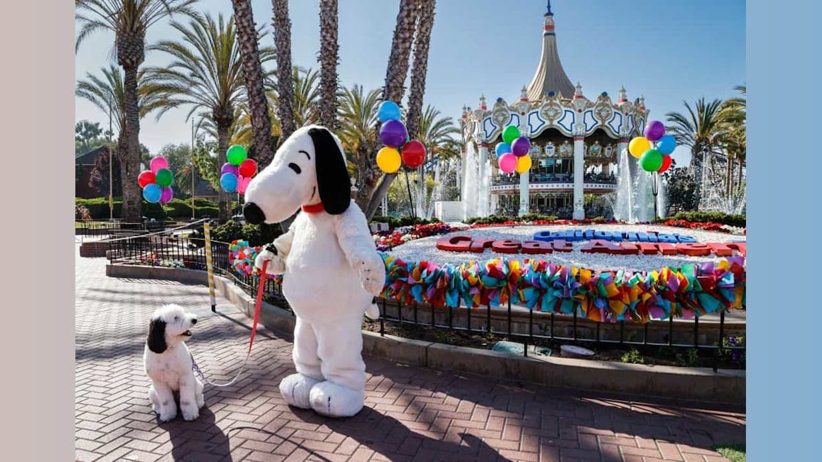Ready for the Ride? Six Flags Names New CEO Amid Closures and Changes!