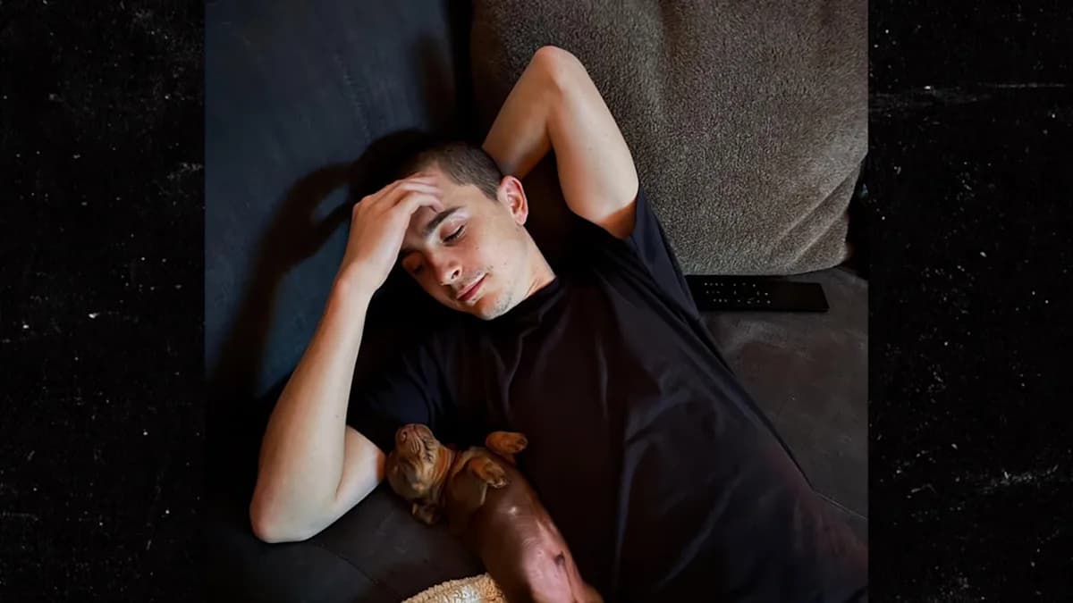 Timothee Chalamet’s New Co-Star: An Adorable Puppy Takes Center Stage!