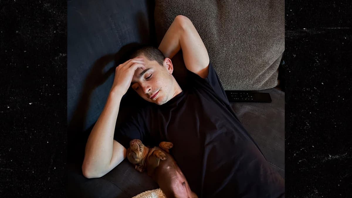 Timothee Chalamet’s New Co-Star: An Adorable Puppy Takes Center Stage!