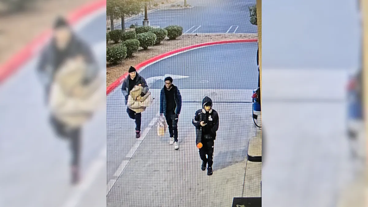 Thanksgiving Break-in: When a Family Getaway Turns into Thief-Tastrophe!