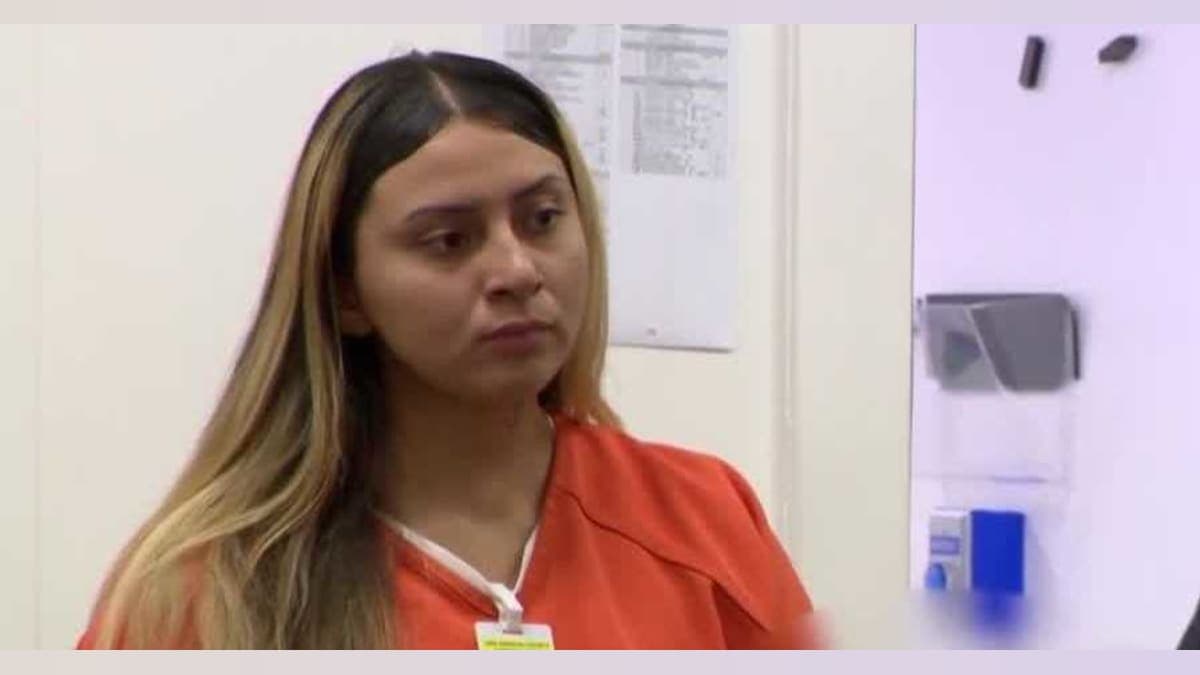 Tragedy Strikes Again: Obdulia Sánchez's Fatal Shooting Rekindles Past Controversies