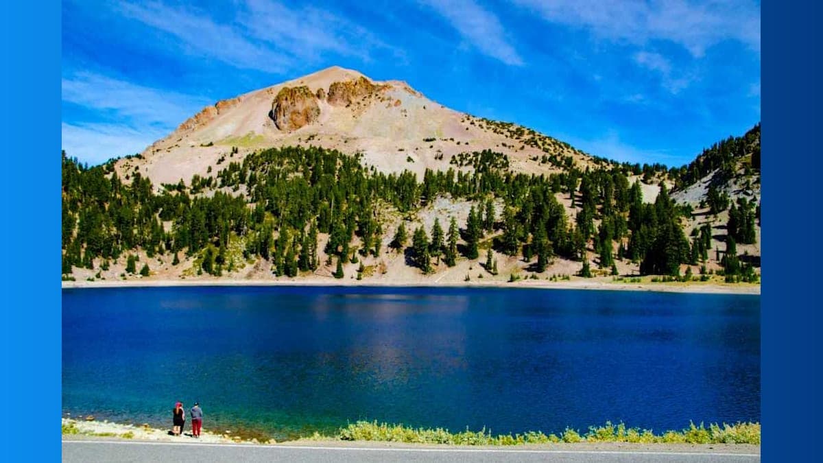 Meet the Fire Amoeba: The Tiny Organism Thriving in Scorching Hot Springs!